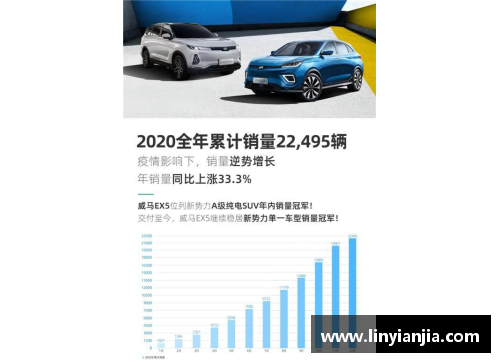 DB真人官方网站威马2020全年销量22,495辆四季度创历史新高EX5稳居造车行业前列 - 副本